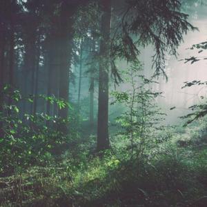 后λ式动态图100期
